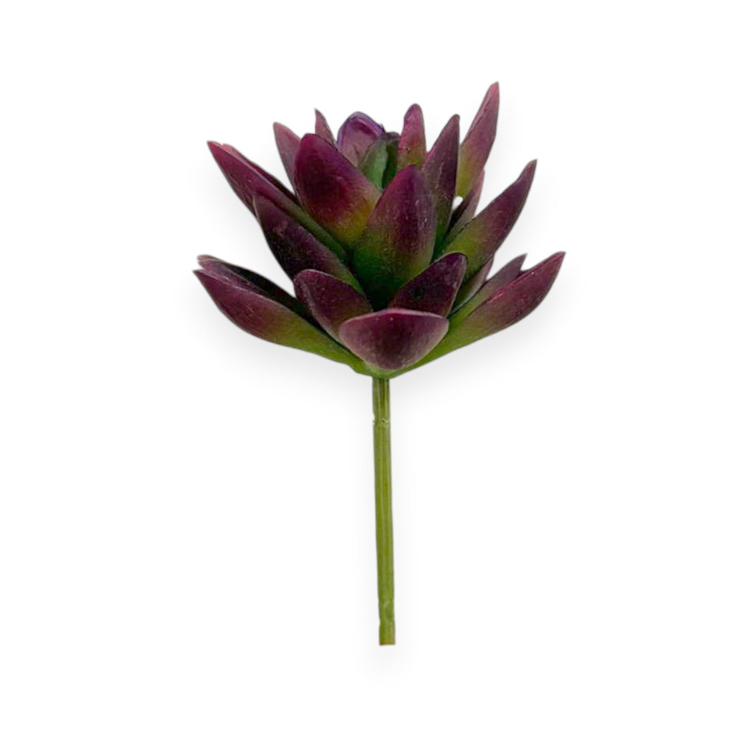 Mini Agave Pick 5"