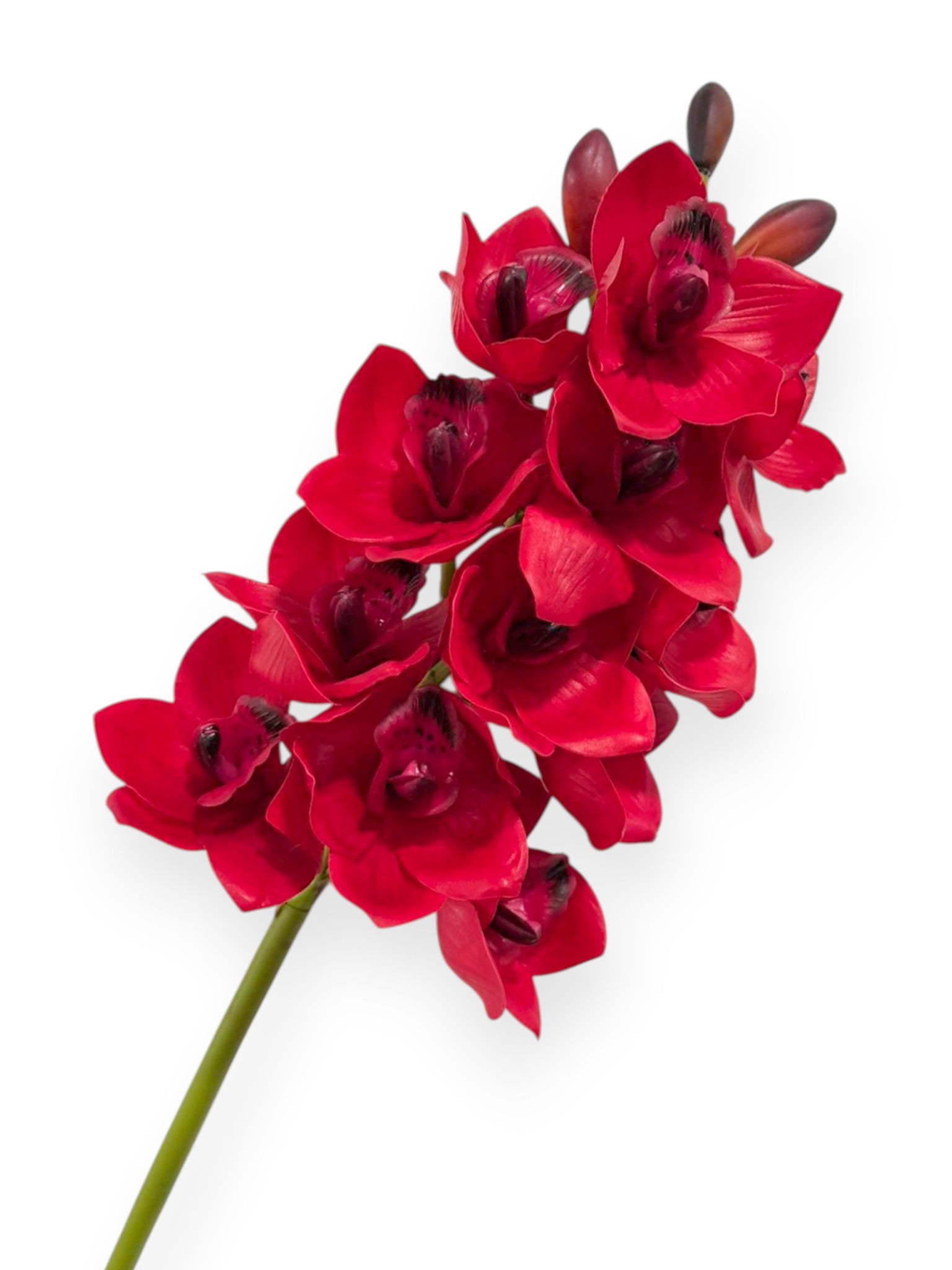 Cymbidium Orchid Stem 27"