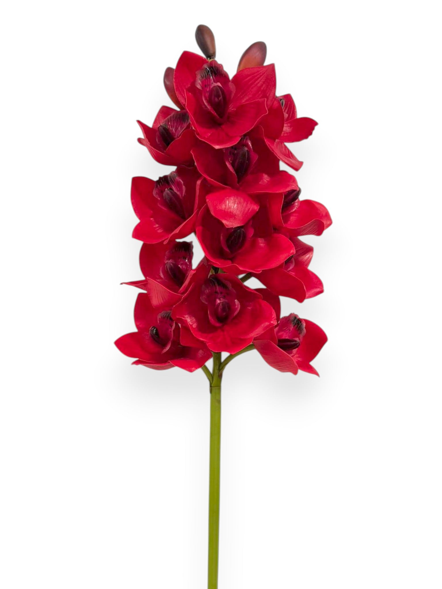 Cymbidium Orchid Stem 27"