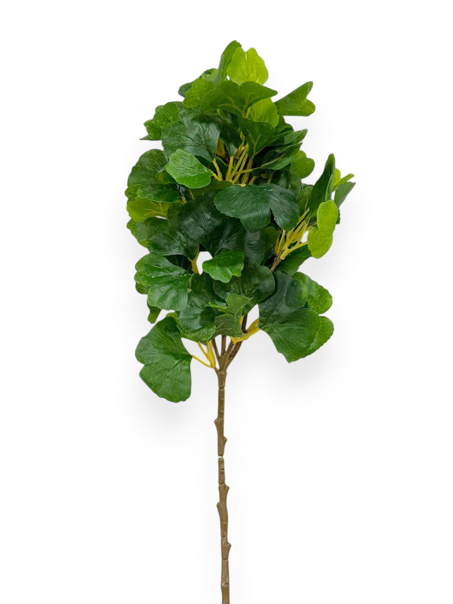 GINKO FALL LEAF 21"
