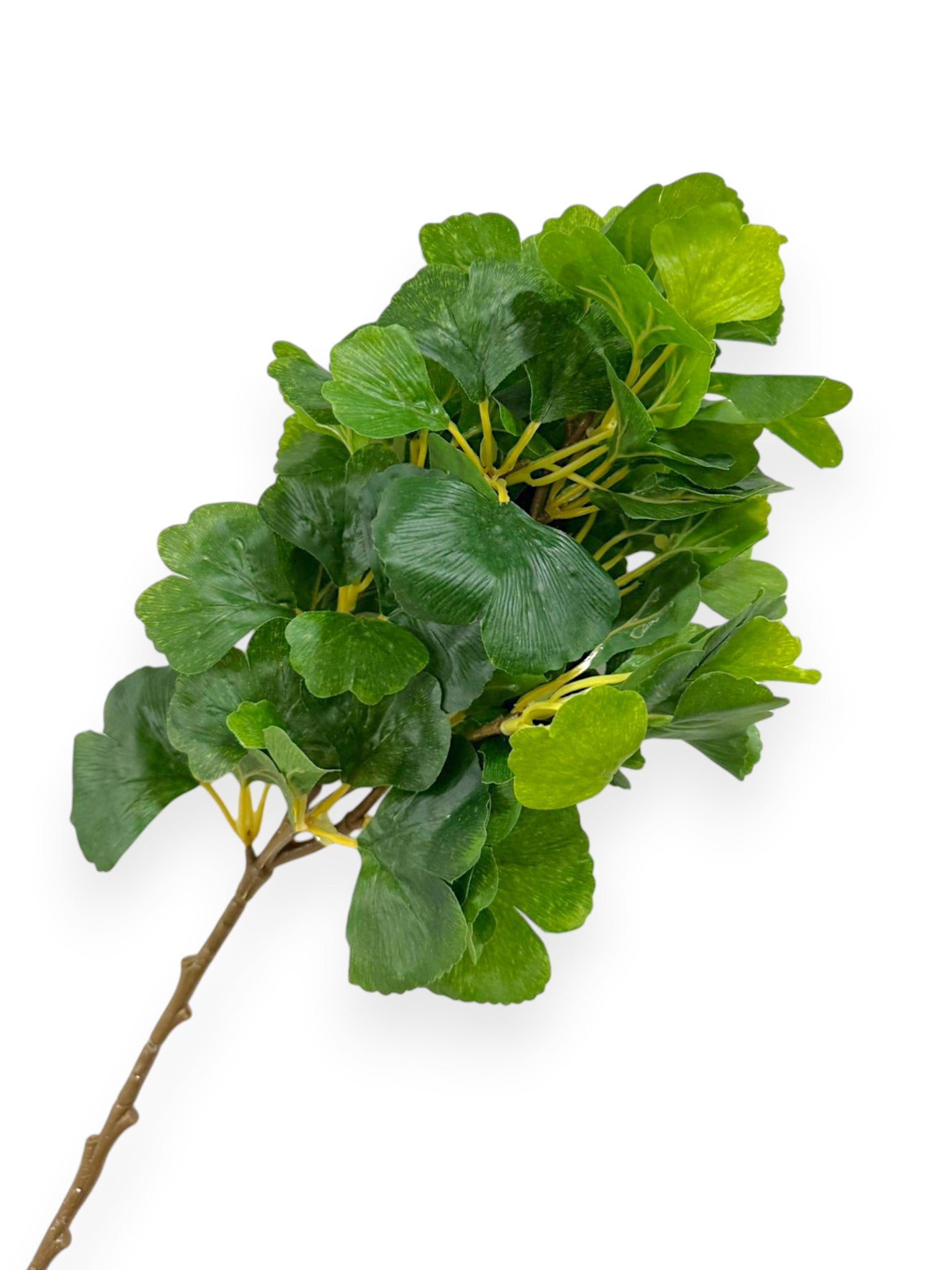 GINKO FALL LEAF 21"