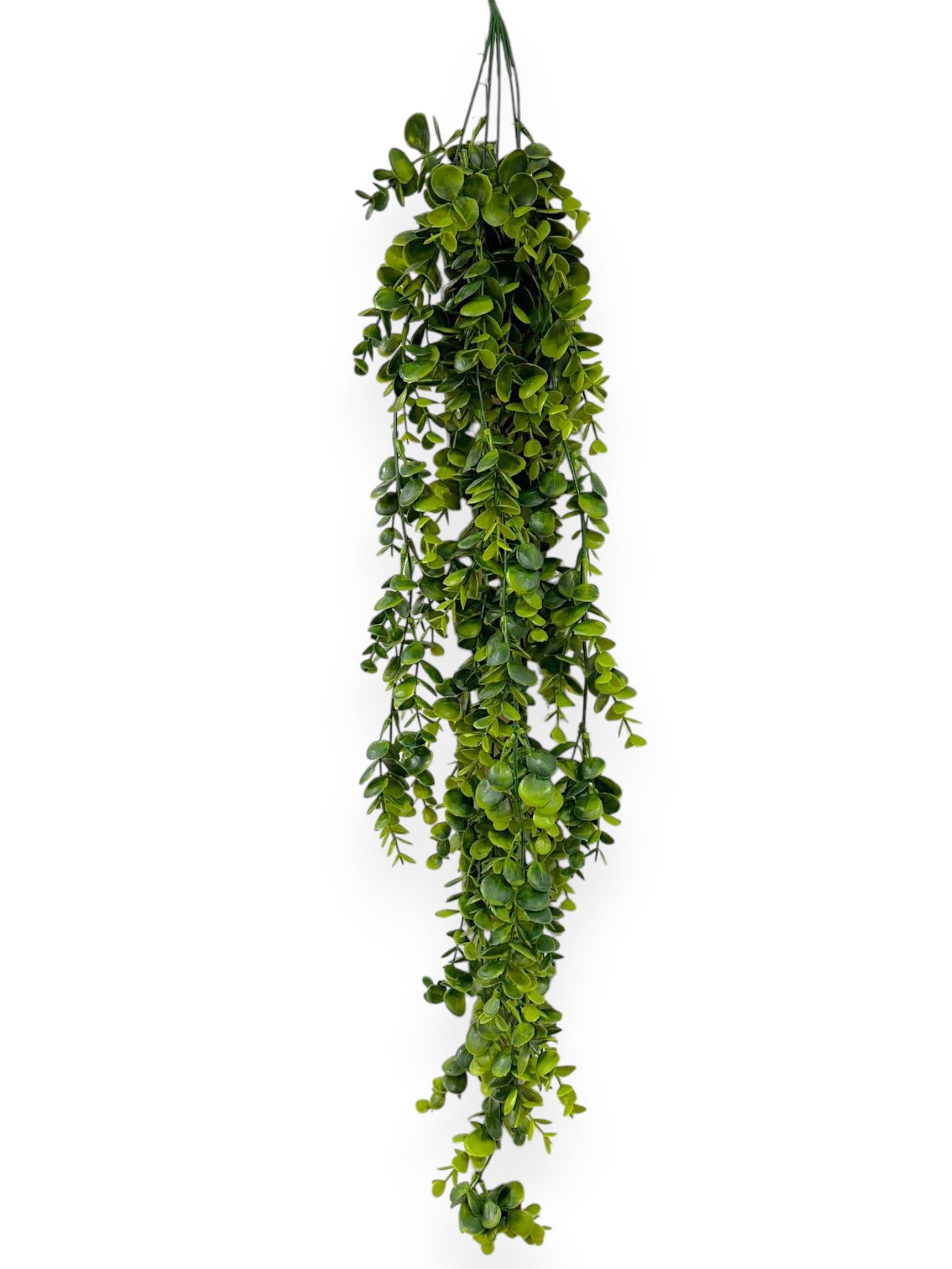 Eucalyptus Hanging Bush 38"