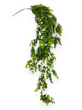 Eucalyptus Hanging Bush 38"