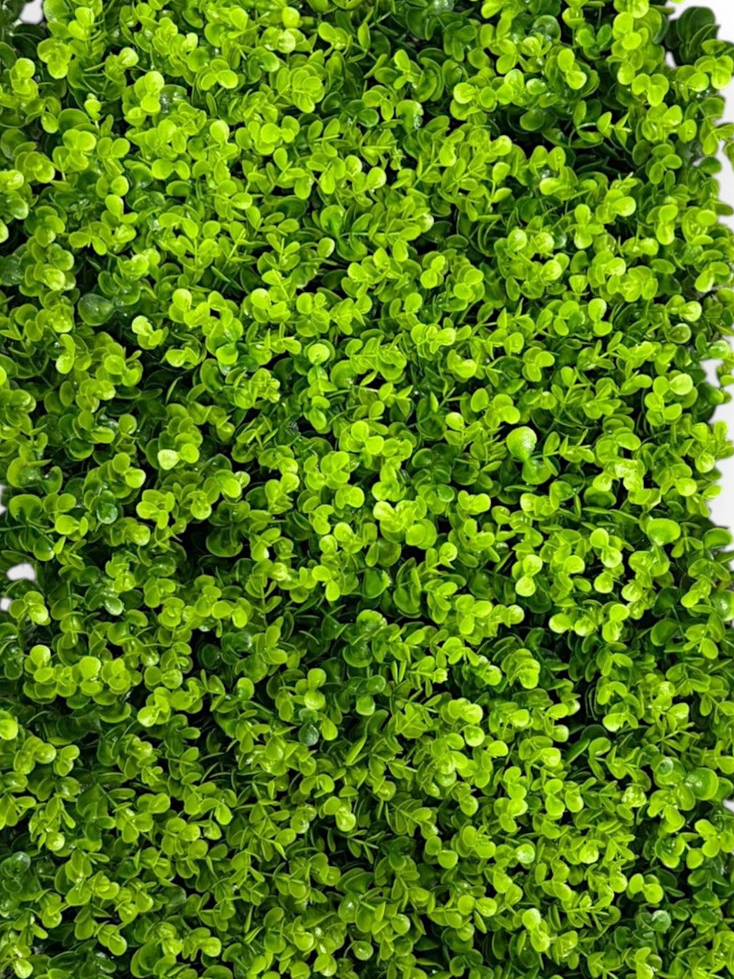 Mix Grass Mat 40×60 cm