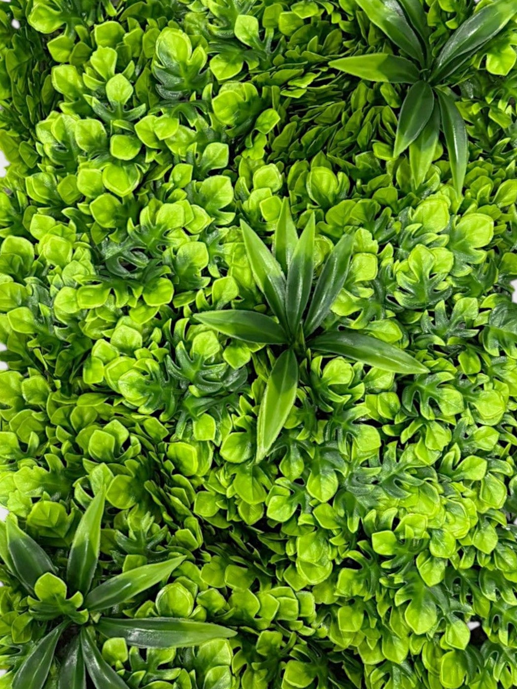 Mix Grass Mat 40×60 cm