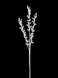 Acrylic Crystal Branch 27"